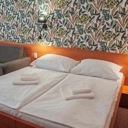 Wellness Thermal Hotel 3*